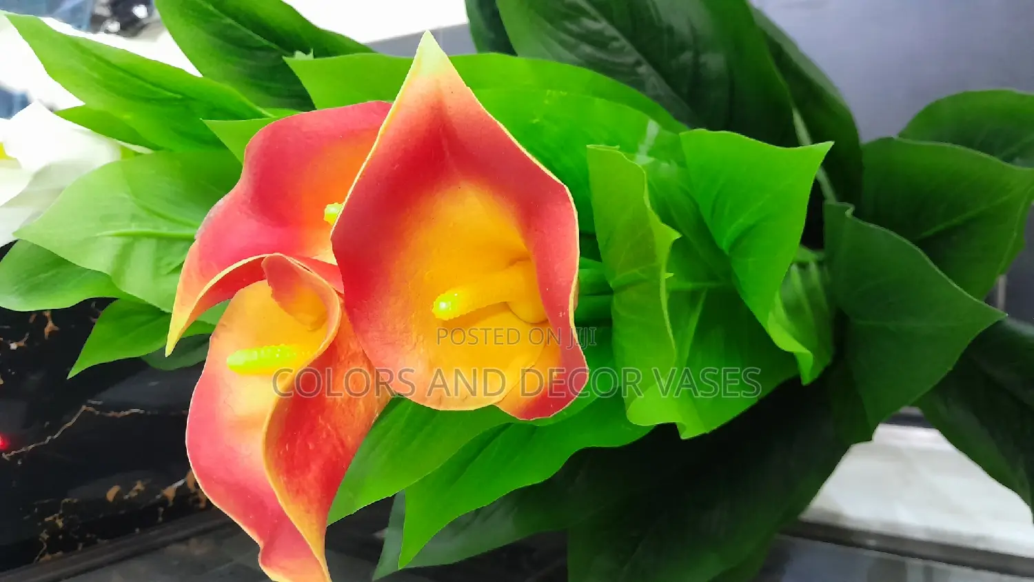 Orange Flowered Plant Available