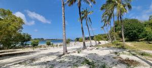 Serena,Prime Commercial 4-Acre Beachfront Plot for Sale - thumbnail 2