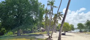 Serena,Prime Commercial 4-Acre Beachfront Plot for Sale