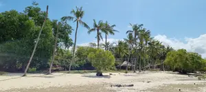 Serena,Prime Commercial 4-Acre Beachfront Plot for Sale