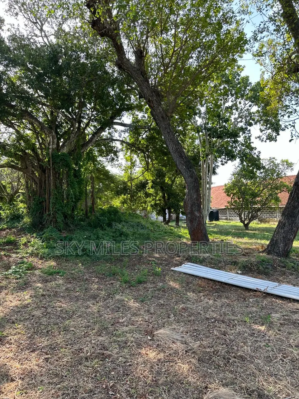 Serena,Prime Commercial 4-Acre Beachfront Plot for Sale