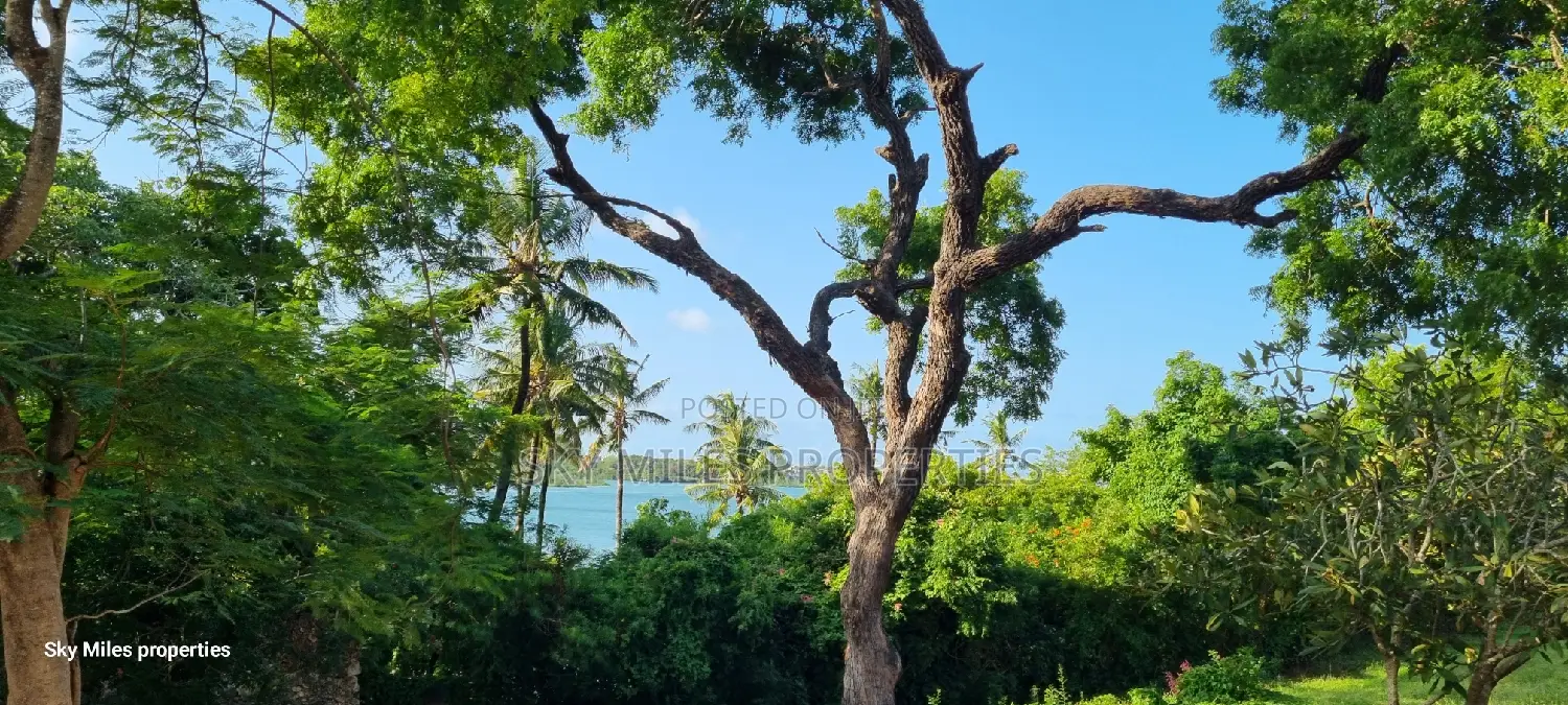 Serena,Prime Commercial 4-Acre Beachfront Plot for Sale