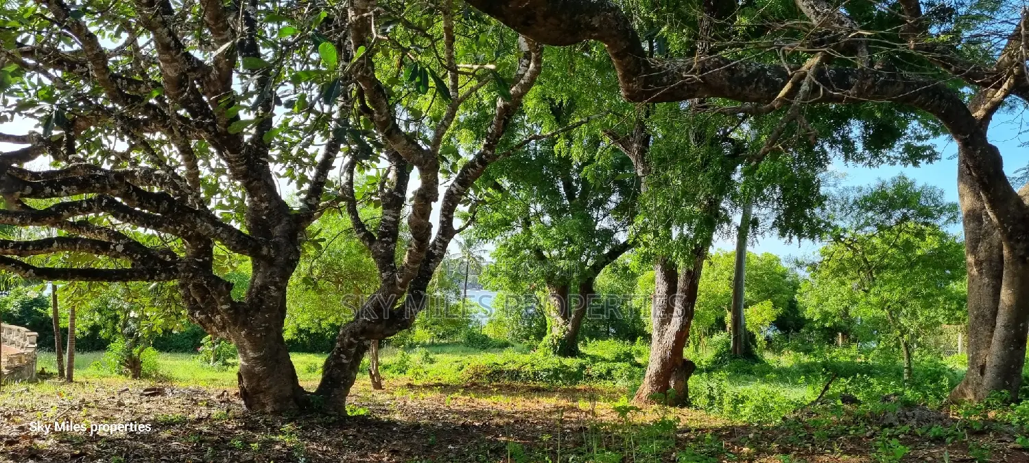 Serena,Prime Commercial 4-Acre Beachfront Plot for Sale