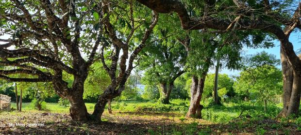 Serena,Prime Commercial 4-Acre Beachfront Plot for Sale - thumbnail 18