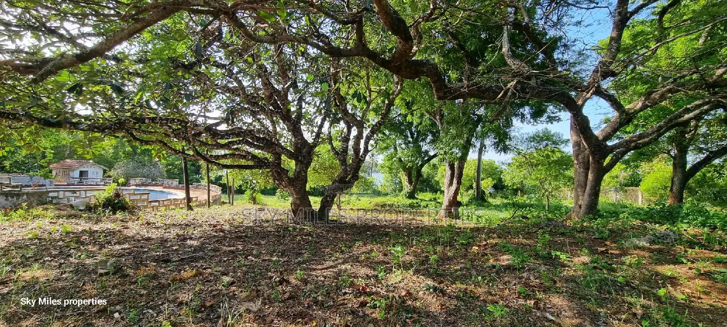 Serena,Prime Commercial 4-Acre Beachfront Plot for Sale