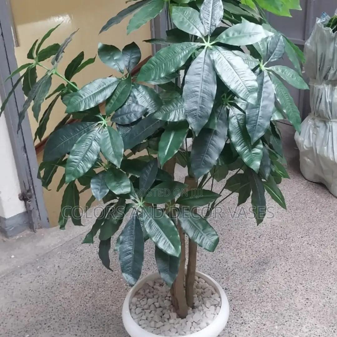 Avocado Plant or Mango Artificial