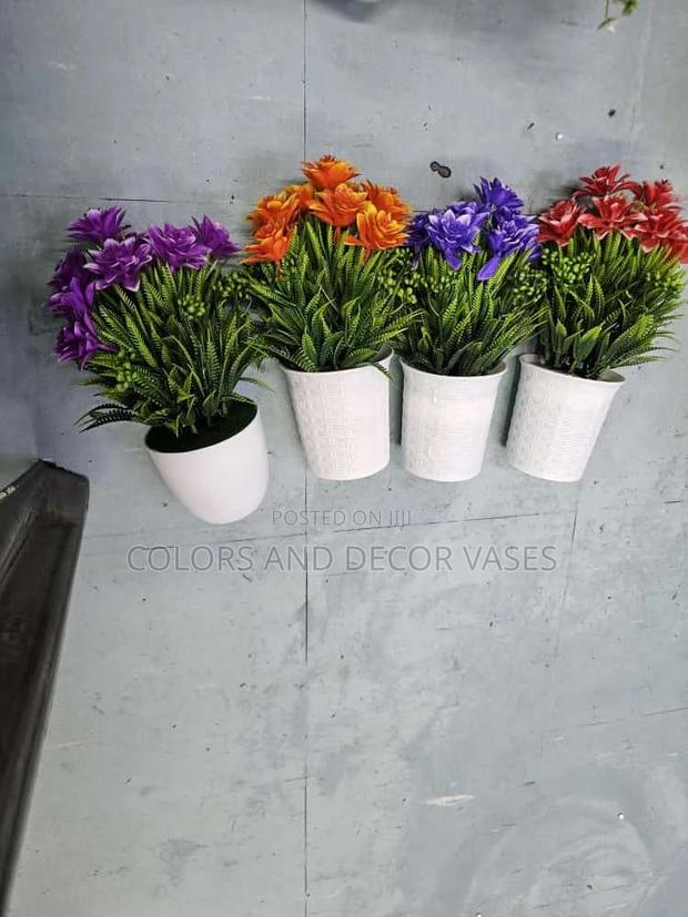 Bonsai Flower Plants - main view