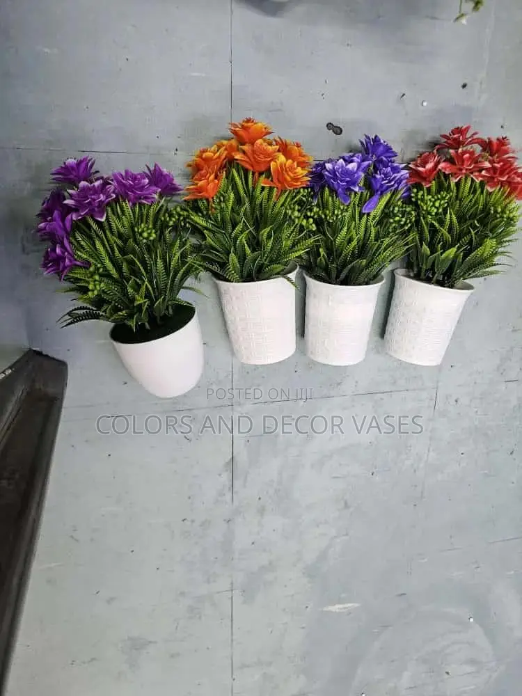 Bonsai Flower Plants