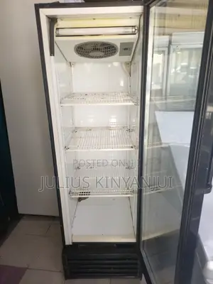 300L Display Fridge