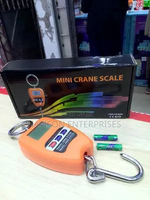 Mini Crane Scale(200kg)