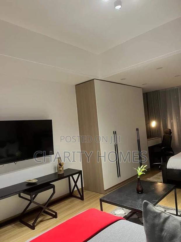 Studio, South B Airbnb - thumbnail 9