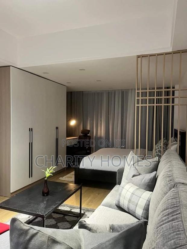 Studio, South B Airbnb - thumbnail 12