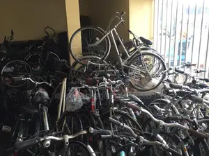 Quality Bikes of Varying Sizes and Use Available