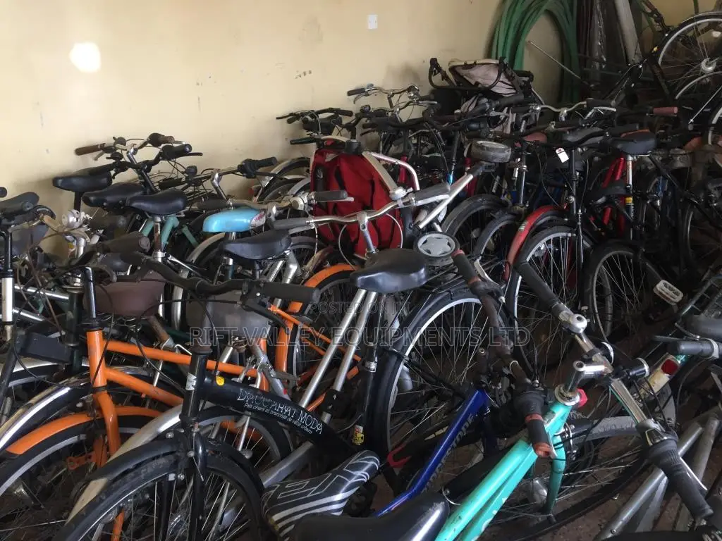 Quality Bikes of Varying Sizes and Use Available