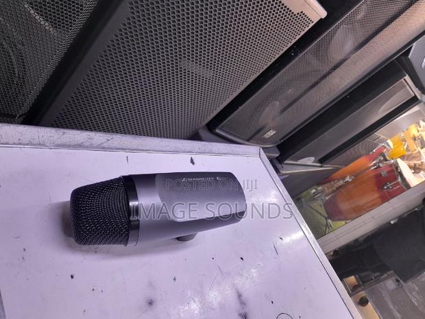 Drum Mic Sennheiser -602 - main view