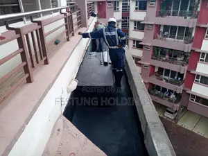 Concrete Flat Roofs and Gutters Waterproofing APP Membrane