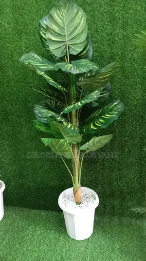 1.3m Stripped Plant