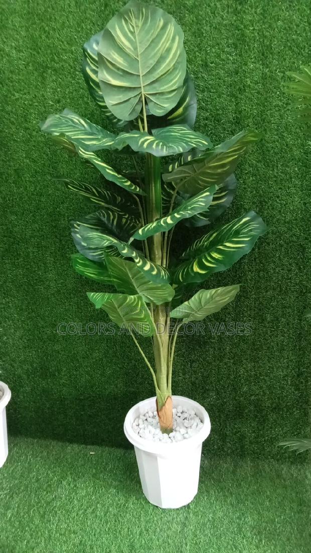1.3m Stripped Plant