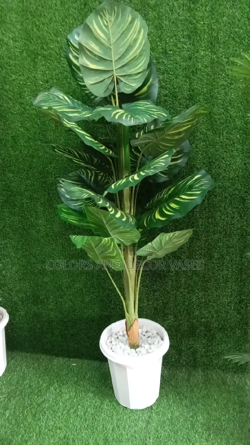 1.3m Stripped Plant