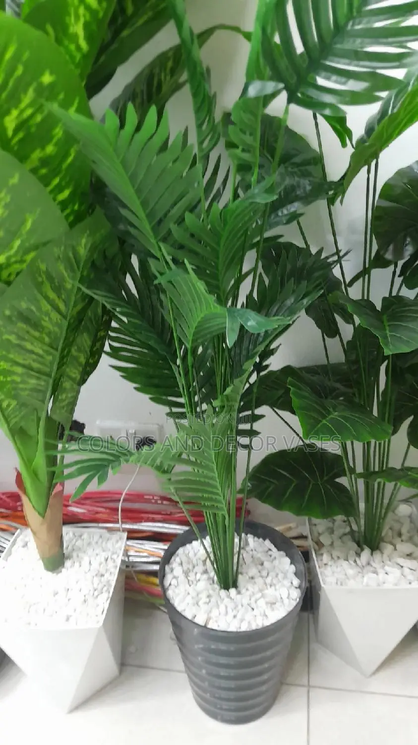 Palm Tree and Plastic Vase Plus Stones