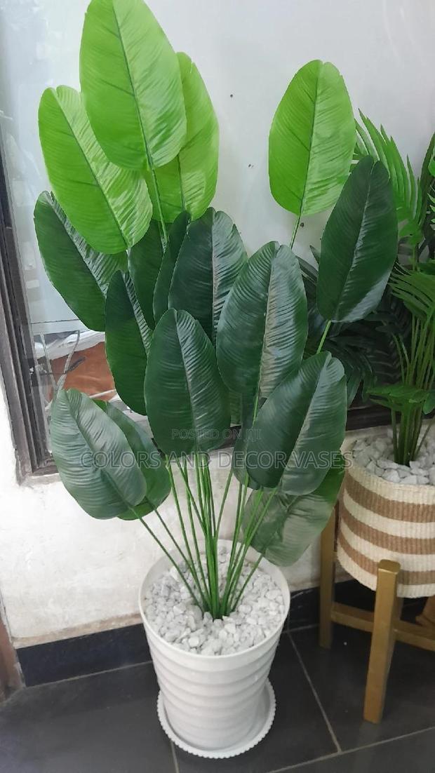 Banana Plant Artificial With Vase and Pebble Stones 3,000ksh
