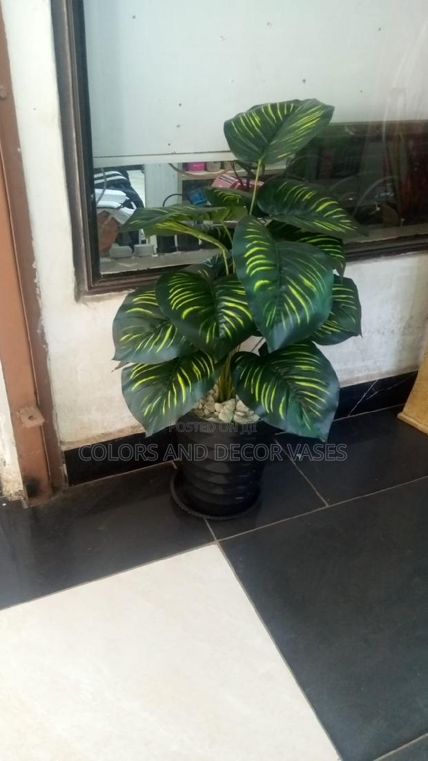 1.2m Stripped Plant With Plastic Vase and Stones - main view