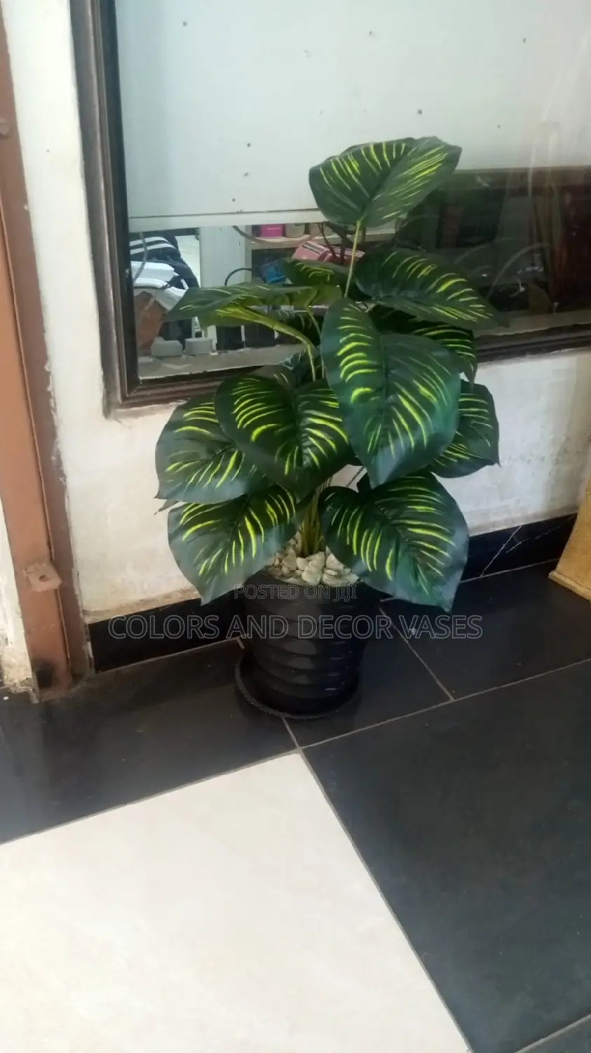 1.2m Stripped Plant With Plastic Vase and Stones
