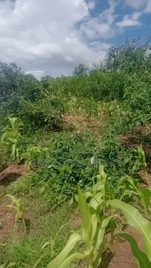An Acre on Sale at Manaja