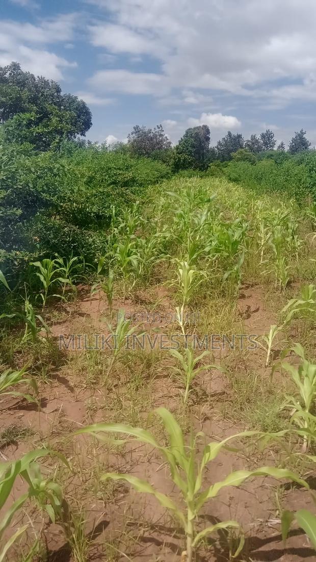 An Acre on Sale at Manaja - thumbnail 4