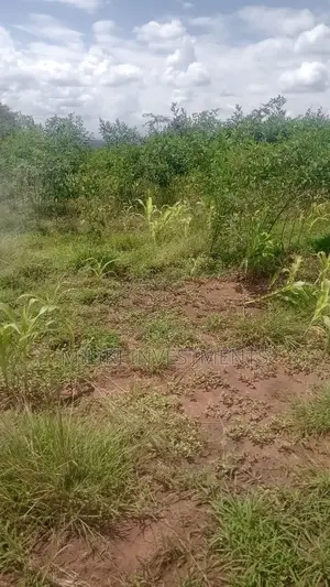 An Acre on Sale at Manaja