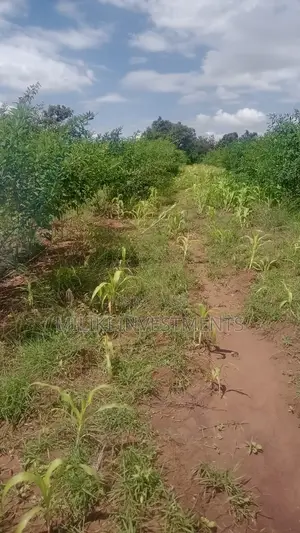 An Acre on Sale at Manaja