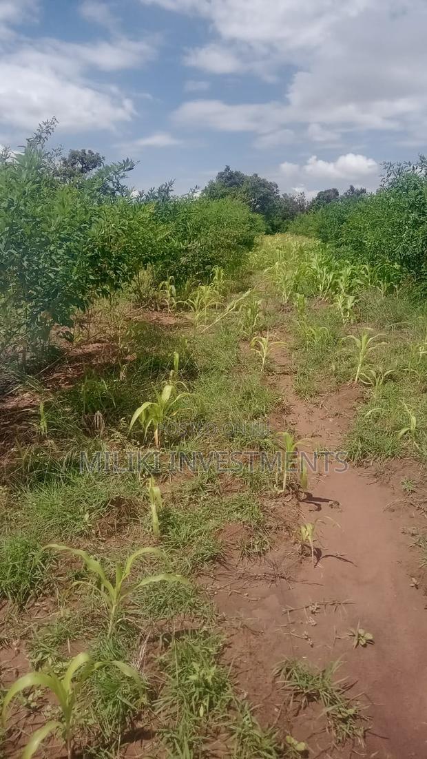 An Acre on Sale at Manaja - thumbnail 6