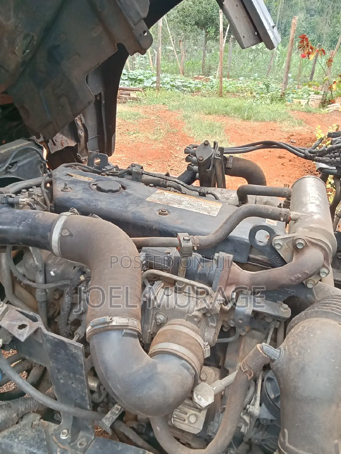 Isuzu Forward