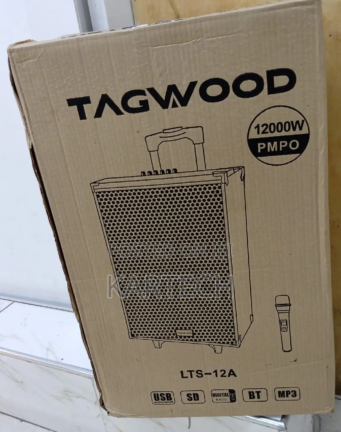 TAGWOOD LTS-12A Outdoor Speaker, Bluetooth, Microphone