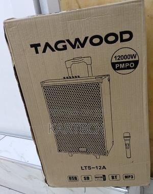 TAGWOOD LTS-12A Outdoor Speaker, Bluetooth, Microphone - thumbnail 2