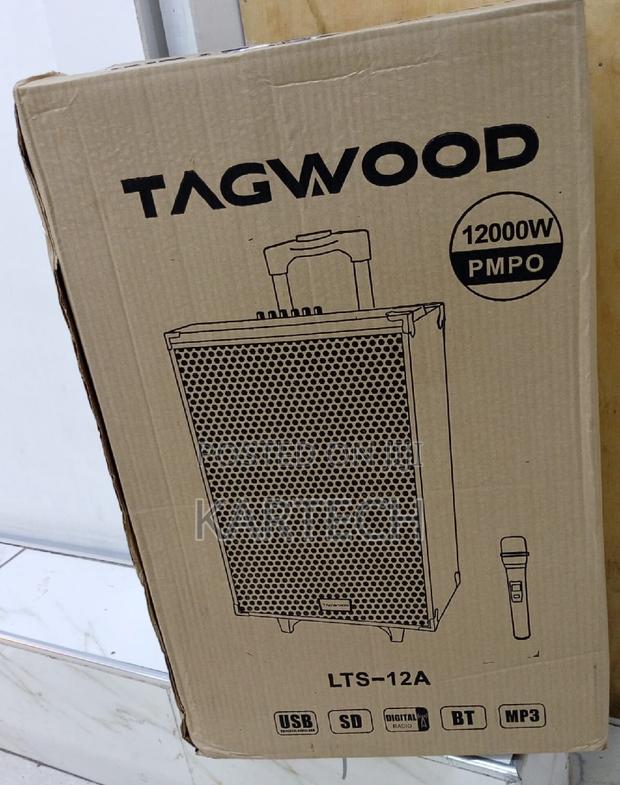 TAGWOOD LTS-12A Outdoor Speaker, Bluetooth, Microphone