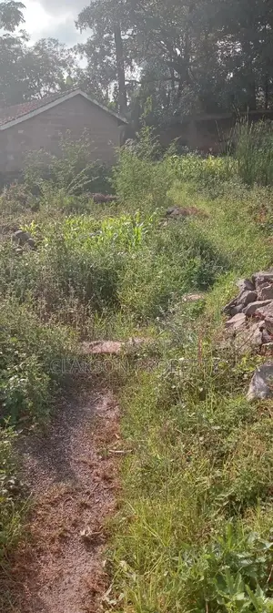 Plot for Sale