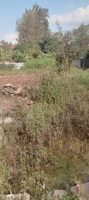 Plot for Sale