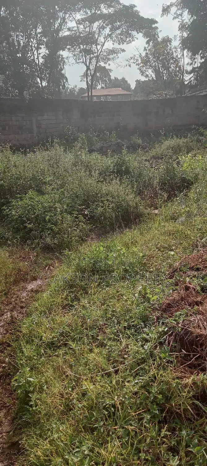 Plot for Sale