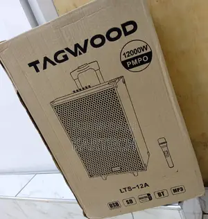 TAGWOOD LTS-12A Outdoor Speaker With Microphone 12 Inches