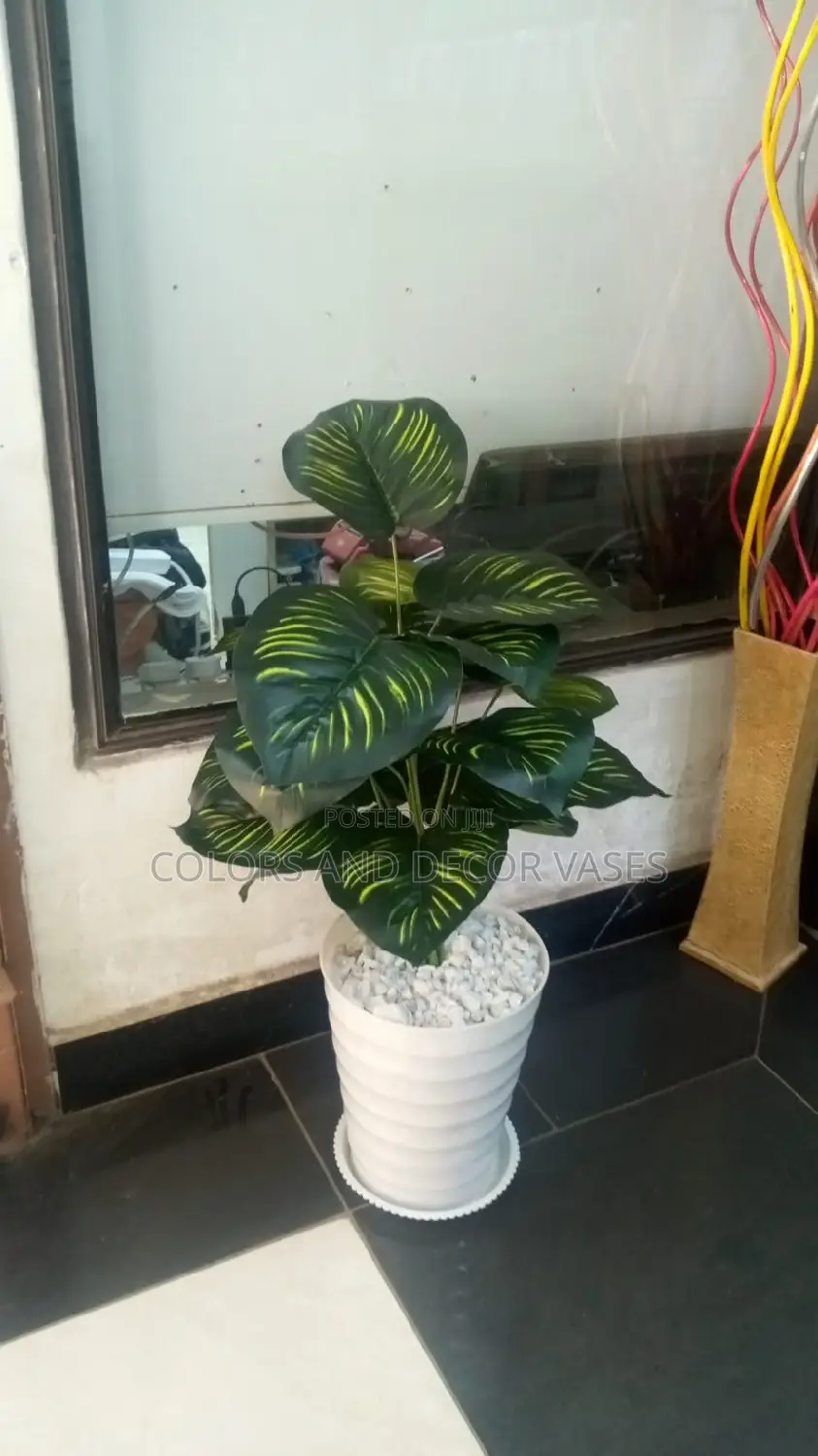 Plant, Vase and Pebble Stones KSH 