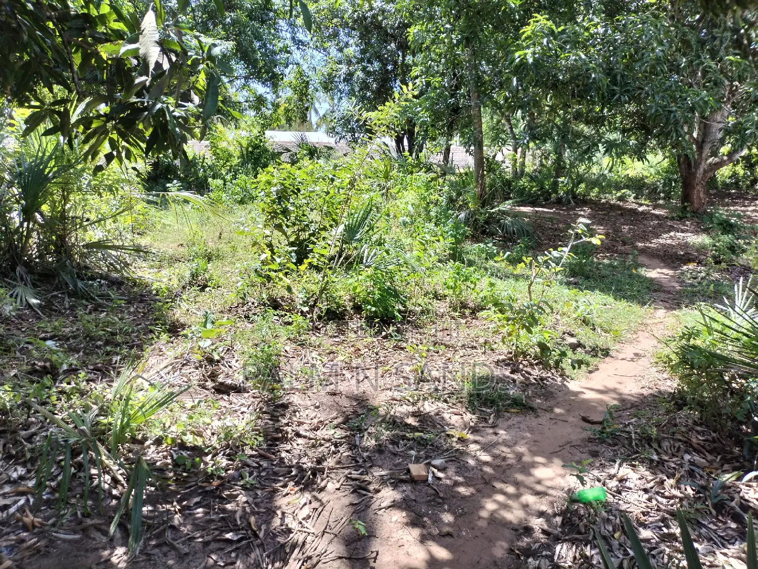 1.25 Acres Prime Land for Sale in Diani!!