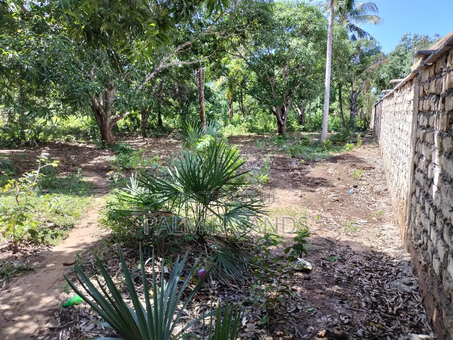 1.25 Acres Prime Land for Sale in Diani!!