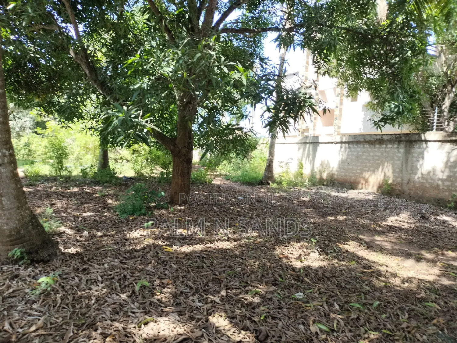 1.25 Acres Prime Land for Sale in Diani!!