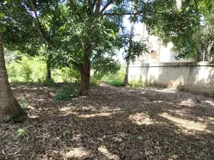 1.25 Acres Prime Land for Sale in Diani!!