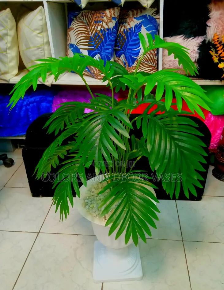 Palm 70cm KSH 1500 Plant