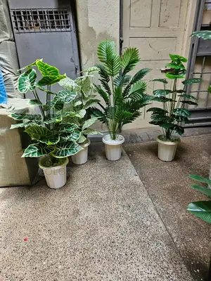 Plant and Vases 1.2m With Plant