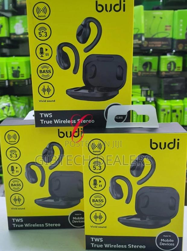 Budi Ear Mounted TWS True Wireless Stereo Earbuds - main view