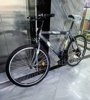 Bike Bike Size 26" Steel Frame 21