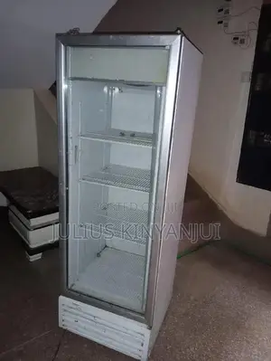 Displaying Fridge 400L